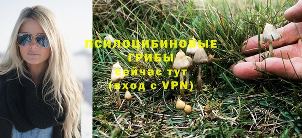 а пвп мука Беломорск