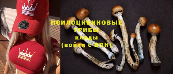 каннабис Богородицк