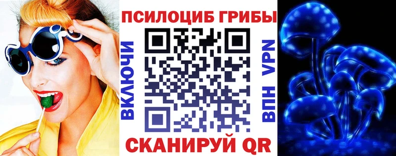закладки  OMG рабочий сайт  Псилоцибиновые грибы мицелий  Городовиковск 