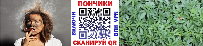 Каннабис конопля  где найти наркотики  Городовиковск 